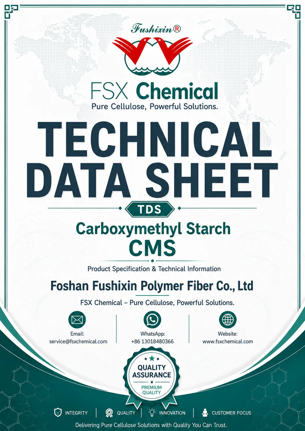 Carboxymethyl Starch CMS technical data sheet cover from FSX Chemical